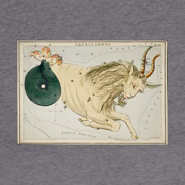 Capricorn Constellation by Big Term Designs